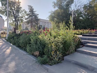 Разница в 9 лет  — фото 2