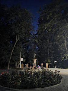 Жители Новочеркасска просят включить освещение в роще: «Дайте света народу!»