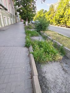 На центральной улице Московской снова возникли проблемы с ливневой канализацией — фото 2