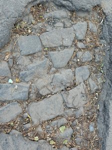 Жители просят администрацию и своего депутата обратить внимание на улице Мичурина — фото 6