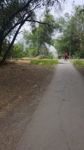 Наступает время цветения амброзии