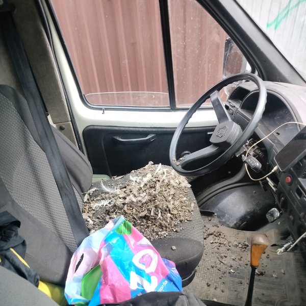 Ситуация от нашего подписчика — фото 2
