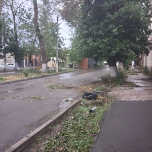 ❗️В городе ведутся работы по ликвидации последствий сильного ветра и дождя — фото 2