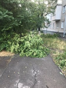 Район детского сада №49 — фото 2