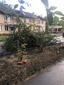 Район детского сада №49 — фото 3