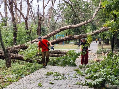 В Новочеркасске жители вышли на субботник после разгула стихии — фото 6