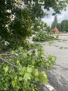 Парк возле Собора — фото 3