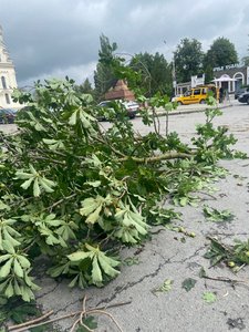 Парк возле Собора — фото 5