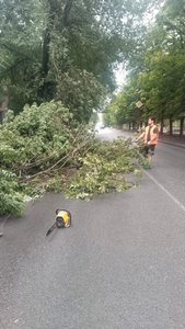 Депутат городской Думы Новочеркасска Алёна Колесникова организовала уборку последствий непогоды