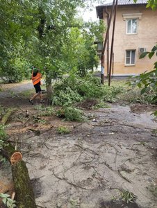 Депутат городской Думы Новочеркасска Алёна Колесникова организовала уборку последствий непогоды — фото 2