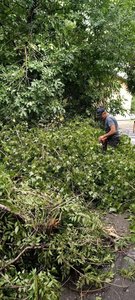 Депутат городской Думы Новочеркасска Алёна Колесникова организовала уборку последствий непогоды — фото 3