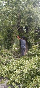Депутат городской Думы Новочеркасска Алёна Колесникова организовала уборку последствий непогоды — фото 4