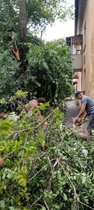 Депутат городской Думы Новочеркасска Алёна Колесникова организовала уборку последствий непогоды — фото 5