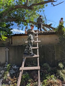 После мощного урагана в Новочеркасске продолжается ликвидация последствий стихии — фото 3