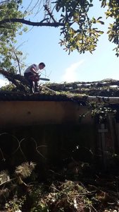 После мощного урагана в Новочеркасске продолжается ликвидация последствий стихии — фото 5