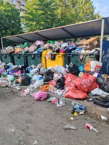Мусор на улице Народной 62 стабильно не вывозят — фото 2
