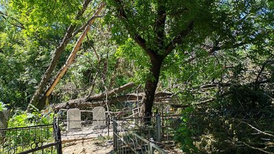 Кто собирается в ближайшее время посетить старое городское кладбище - берите с собой пилы и... — фото 2