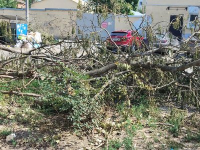 В Новочеркасске продолжают устранять последствия стихии — фото 4