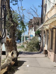 В Новочеркасске продолжают устранять последствия стихии — фото 6
