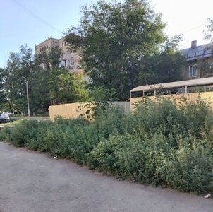 Подойди к этой контейнерной площадке стало очень проблематично