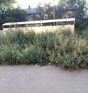 Подойди к этой контейнерной площадке стало очень проблематично — фото 2