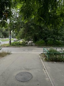 Ветки опасно висят над тротуаром в районе остановки "Космос" — фото 3