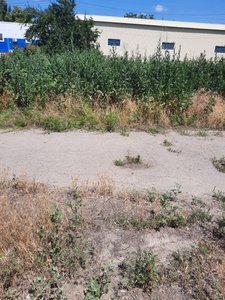 Чтобы не пытаться осваивать деньги за покос травы поздней осенью на проспекте  Баклановском, можно... — фото 5