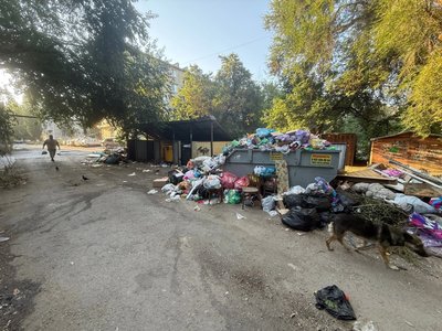 Мусорный вопрос снова выходит на первый план в Новочеркасске — фото 2