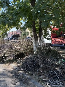 На Красном спуске в Новочеркасске состоялся совместный субботник — фото 5