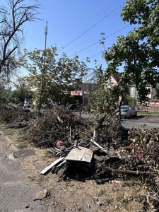 На Красном спуске в Новочеркасске состоялся совместный субботник — фото 8