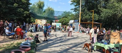 В Новочеркасске прошла национальная выставка собак «Под светом Персеид» — фото 4