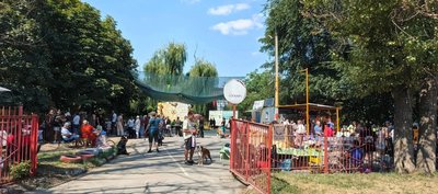 В Новочеркасске прошла национальная выставка собак «Под светом Персеид» — фото 6