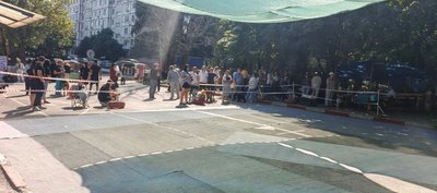 В Новочеркасске прошла национальная выставка собак «Под светом Персеид» — фото 7