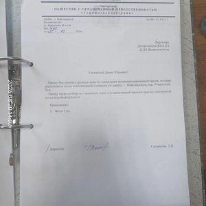 Свалка на Рощинском переулке растёт больше полугода — фото 2