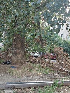 Жители Молодёжки напоминают, что у них на Визирова 5 все ещё не ликвидированы последствия урагана — фото 3