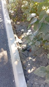 На Народной улице в Новочеркасске завершили ремонт дороги — фото 4