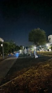 Жители Новочеркасска обращают внимание на проблему с уличным освещением на новой аллее по улице...