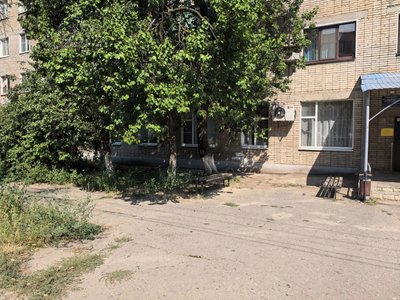 Амброзия у женской консультации обеспокоила новочеркасцев — фото 2
