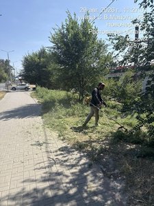 На улице Мацоты начался покос — фото 2