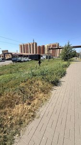 На улице Мацоты начался покос — фото 4