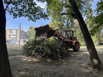 Депутат Алёна Колесникова продолжает работу на своём округе — фото 3