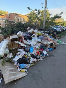Есть ли смысл ждать решения проблемы с вывозом мусора в отдалённых районах города, если даже в... — фото 2