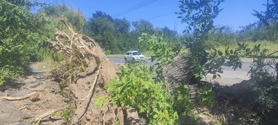Вот уже больше месяца прошло после урагана, а пешеходный тротуар  в Новочеркасске на Харьковском... — фото 3