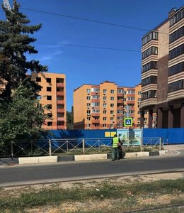 В Новочеркасске продолжается покос амброзии — фото 2