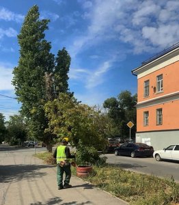 В Новочеркасске продолжается покос амброзии — фото 4