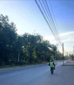 В Новочеркасске продолжается покос амброзии — фото 8