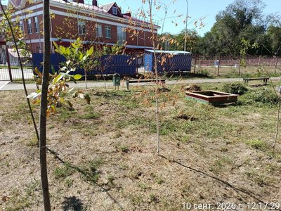 По просьбе жителей администрация Новочеркасска организовали покос травы в районе дома Авиаторов 12 — фото 3