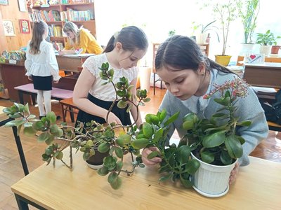 В Новочеркасске читатели муниципальных библиотек отметили День добрых дел — фото 8