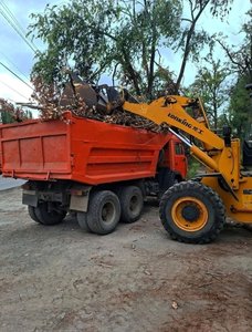 В Новочеркасске продолжается уборка городских улиц и обновление остановочных комплексов — фото 8