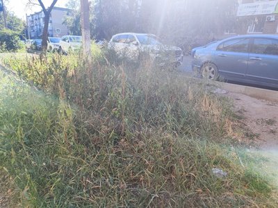 Вот так сегодня выглядит улица Народная в районе домов 2 и 4 (женская консультация) — фото 2